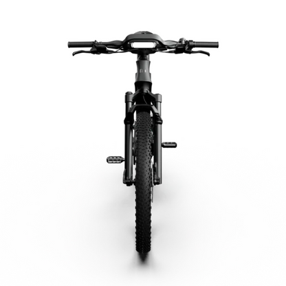 VoltRider™ Elektrofahrrad