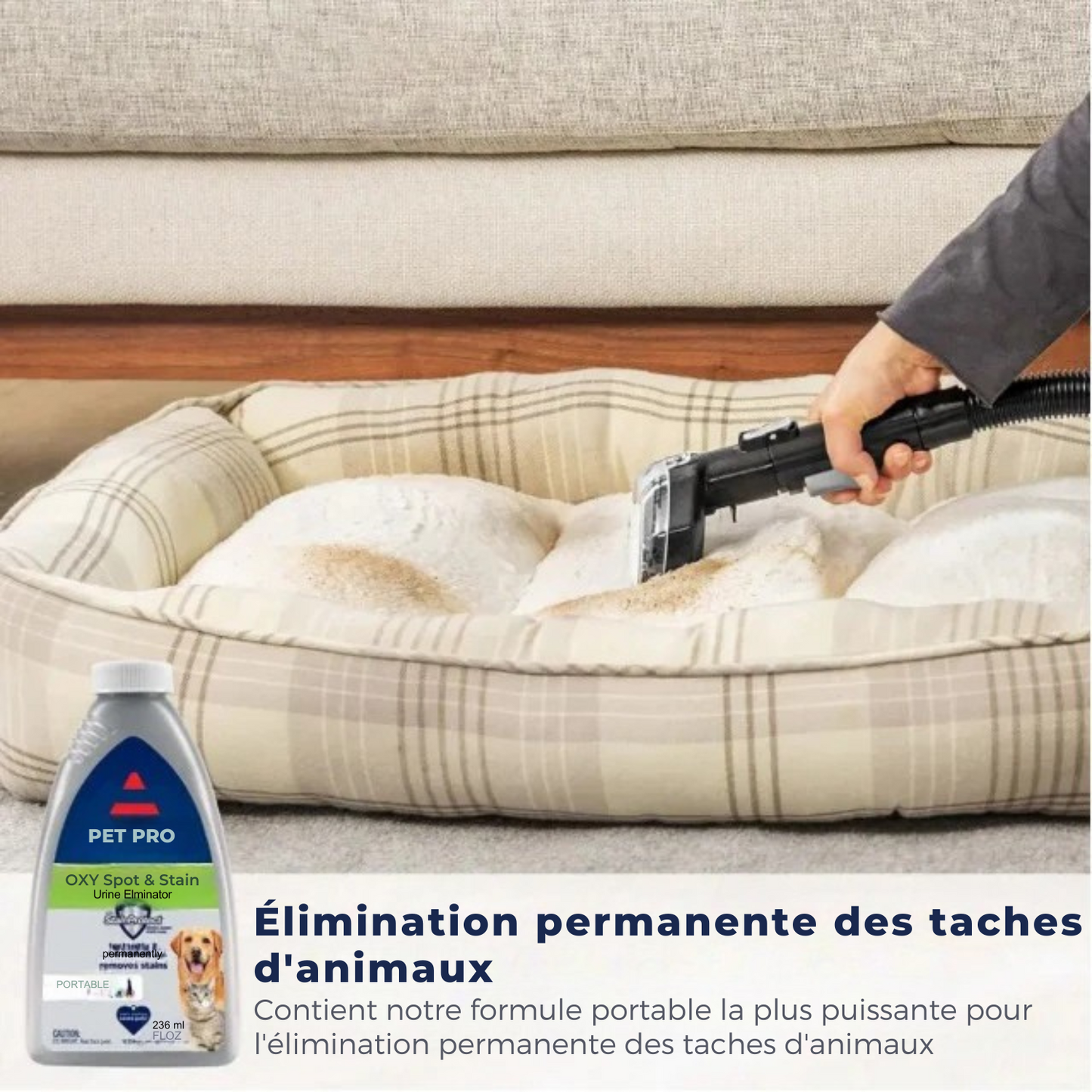 VaporSweep™ Nettoyeur de tapis portatif